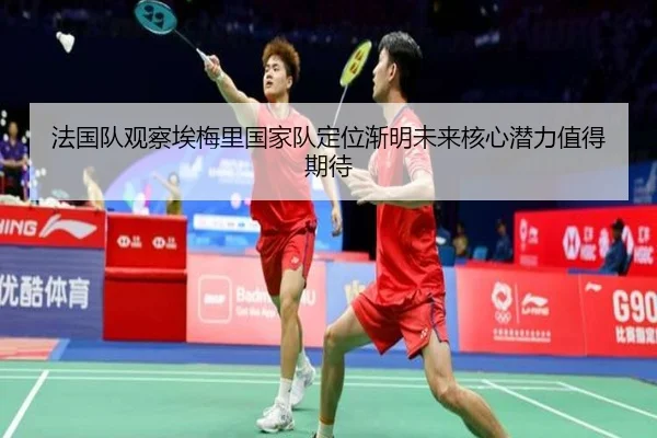法国队观察埃梅里国家队定位渐明未来核心潜力值得期待
